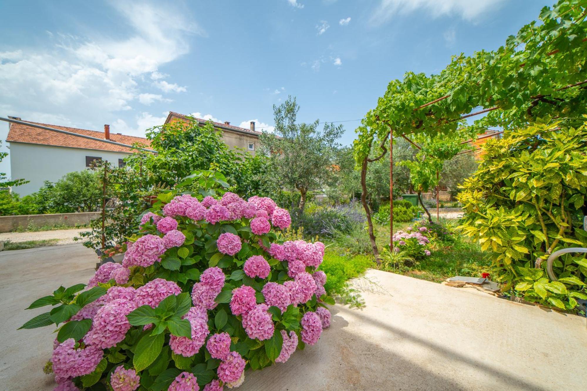 House Of Mile Hotell Zadar Eksteriør bilde